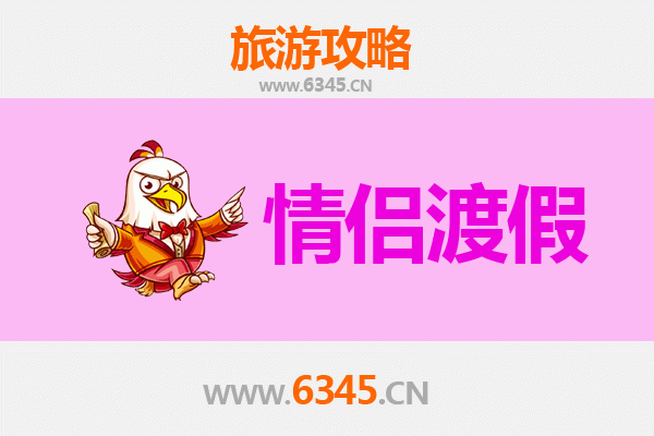 菏泽曹县情侣漫游指南：古韵花海间的浪漫时光